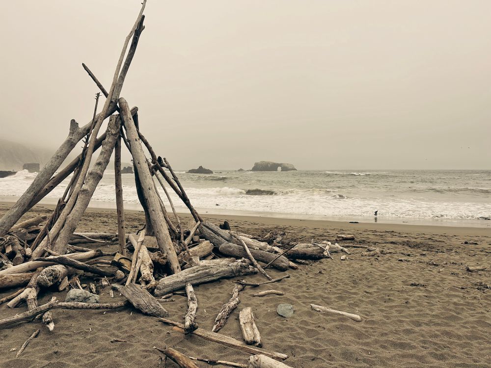 A foggy beach scene with a large driftwood structure built like a teepee in the foreground. The sandy shore is scattered with logs and smaller pieces of driftwood. Waves roll onto the beach under an overcast sky, and in the distance, a rocky island with a natural arch rises out of the sea. A lone seabird stands near the waterline, adding a sense of scale and solitude to the coastal landscape