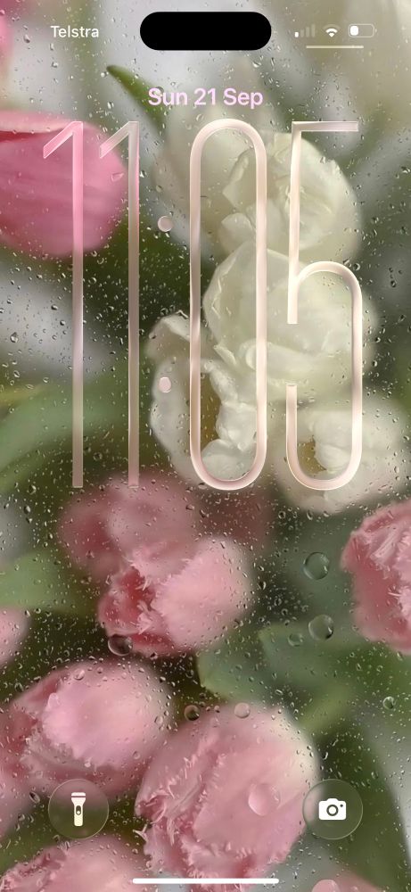 iphone lockscreen with tulip background