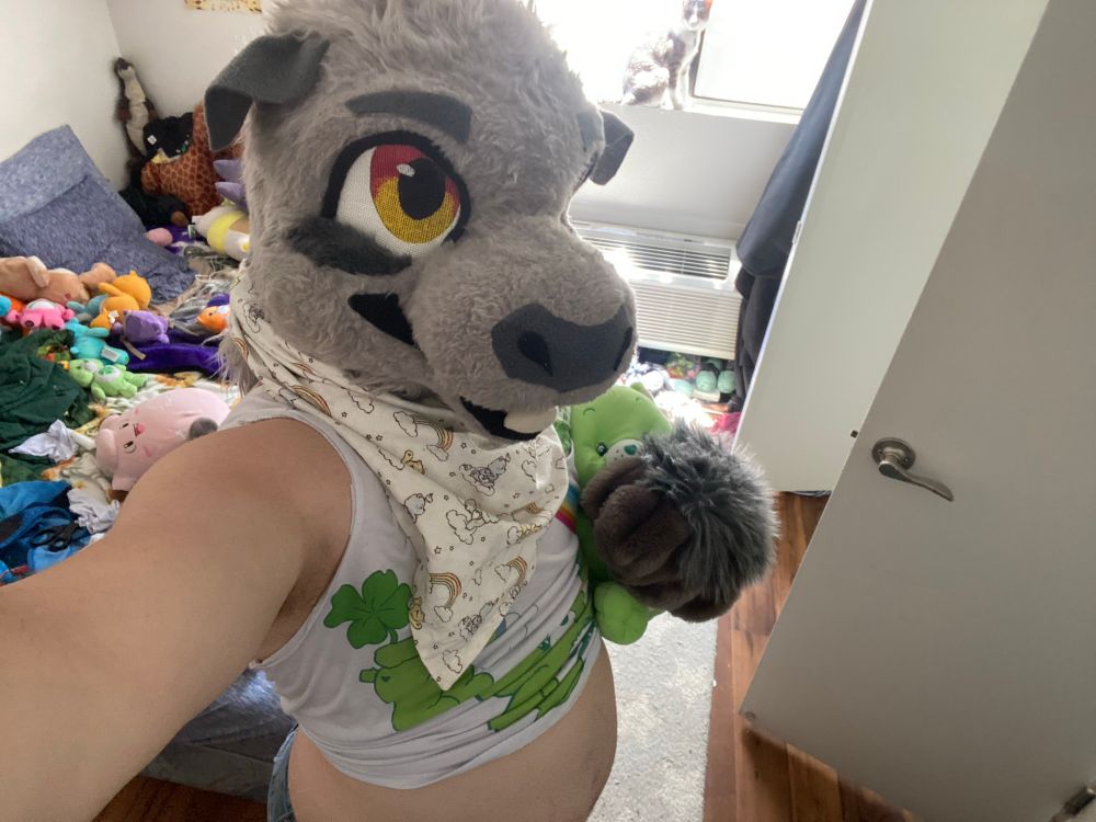 A selfie of a guinea pig fursuit in a care bear cropped tank top, with a care bear bandana, holding a Good Luck Bear plushie in their pawed other hand
