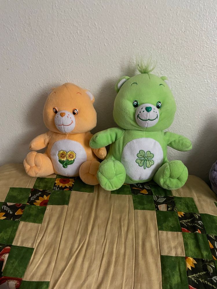 A picture of the previous mentioned Friend Bear plush sitting with a Good Luck Bear plush