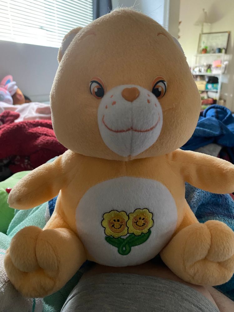 A picture of a small Friend Bear Care Bear plush