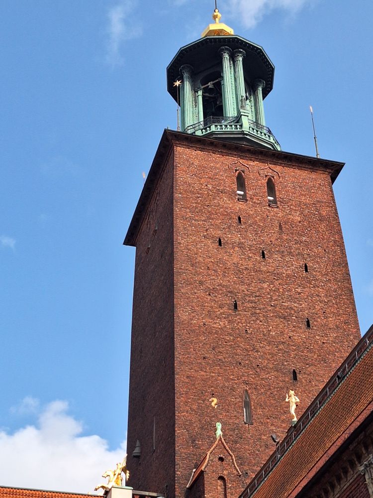 Stadshustornet i Stockholm, grodperspektiv.