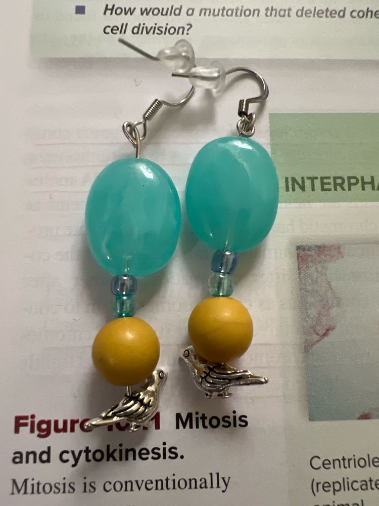 pair of dangly earrings with an aqua stone, two  wee shiny cornflower and aqua beads all atop yellow wooden beads. a little metal bird is at the bottom of the earring. first time earring making at its finest. 