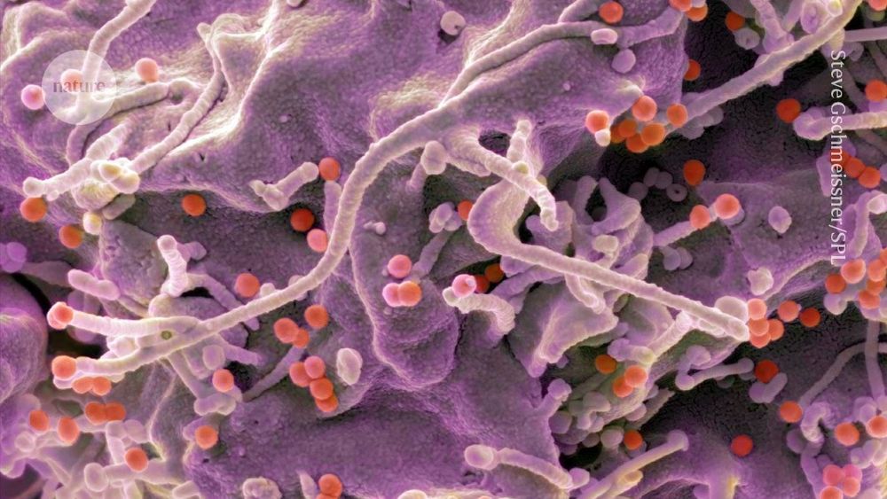 Results from early-stage trial show that 80% of participants who received one of two HIV vaccine candidates produced antibodies against viral proteins.