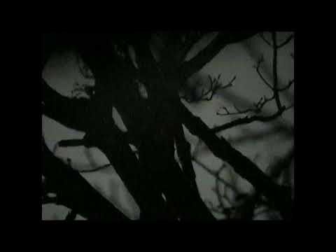 Dion Kerr - eko vizion meusik - sun shines through, brilliantly