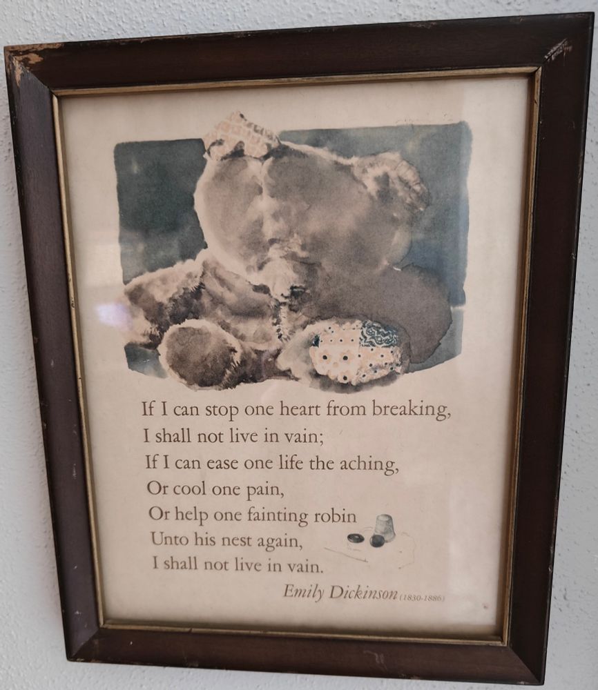 Framed Emily Dickinson poem with an illustration of a well worn teddy bear on top. "I shall not live in vain" in full on the quoted post