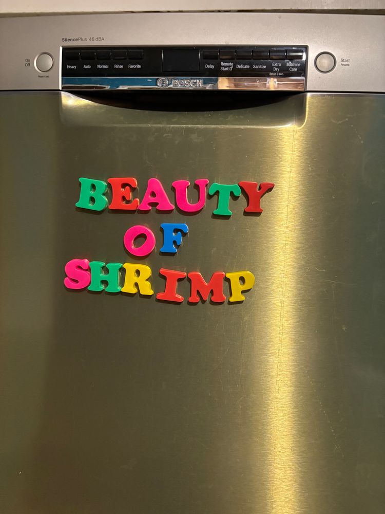 colorful alphabet magnets spelling out “beauty of shrimp.”