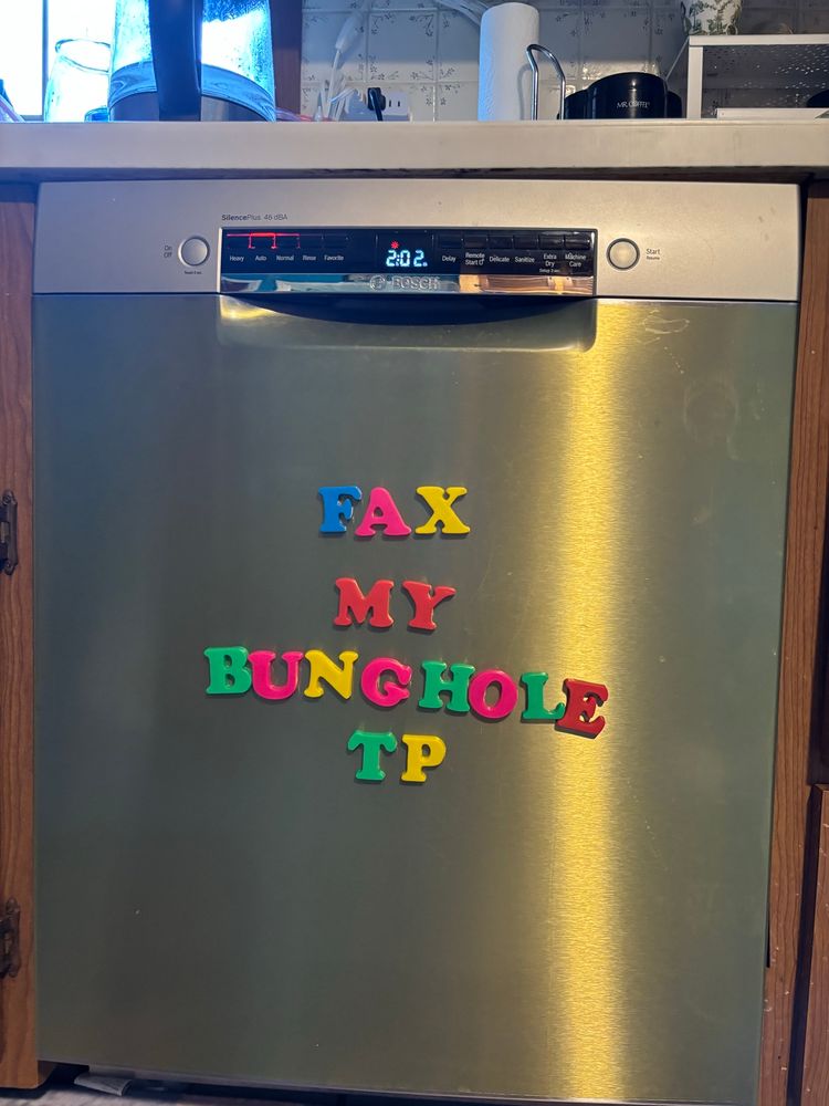 alphabet magnets on a dishwasher spelling out “fax my bunghole tp”