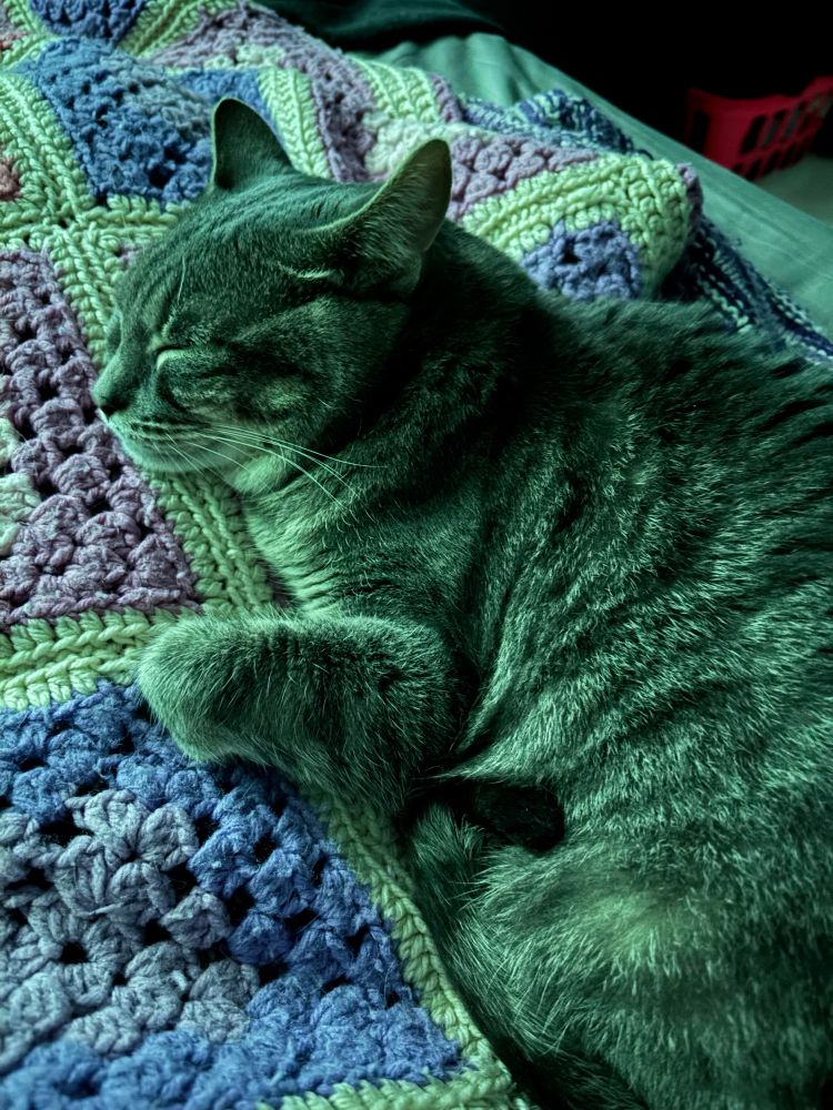 a sleeping grey tabby cat lit by the blue-green light of a galaxy lamp.
