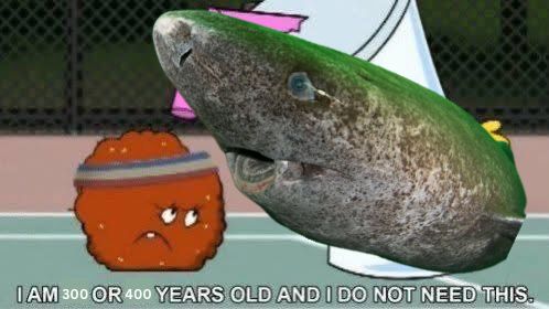 a greenland shark is telling meatwad “i am 300 or 400 years old and i do not need this”