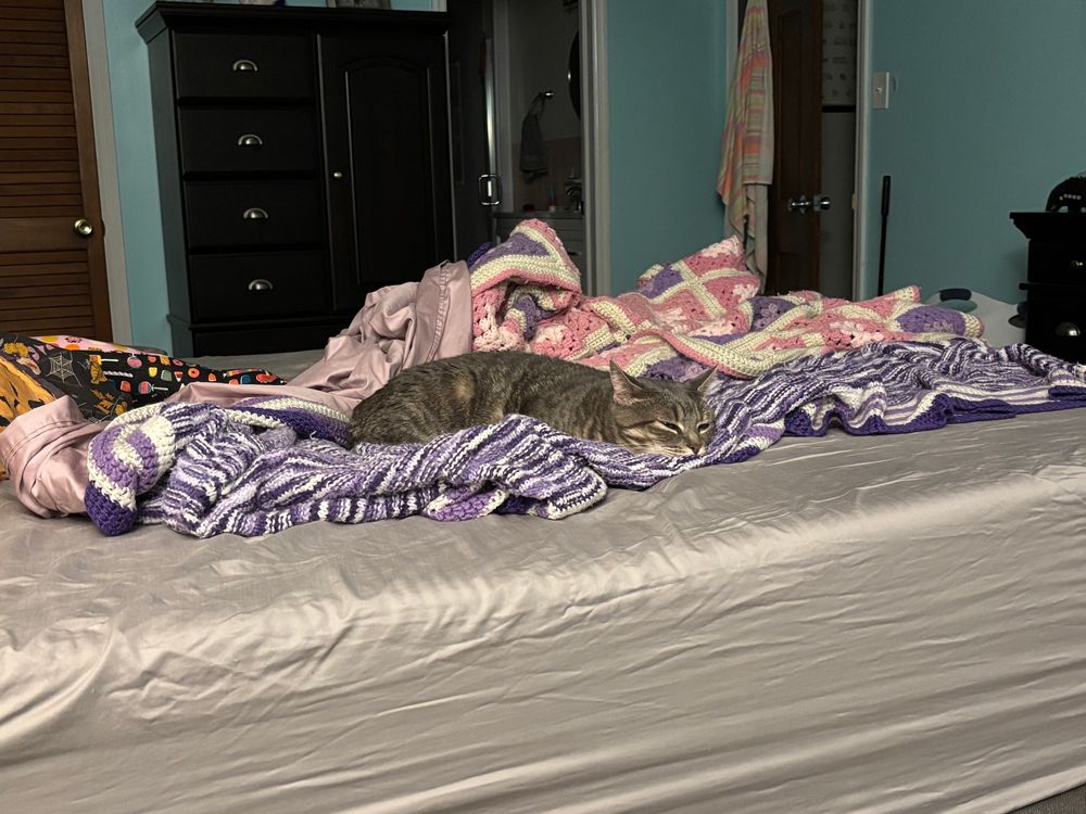a grey tabby cat on top of a rumpled purple and white knit blanket on a bed. he isn’t curled up or a loaf. just sort of a blob.