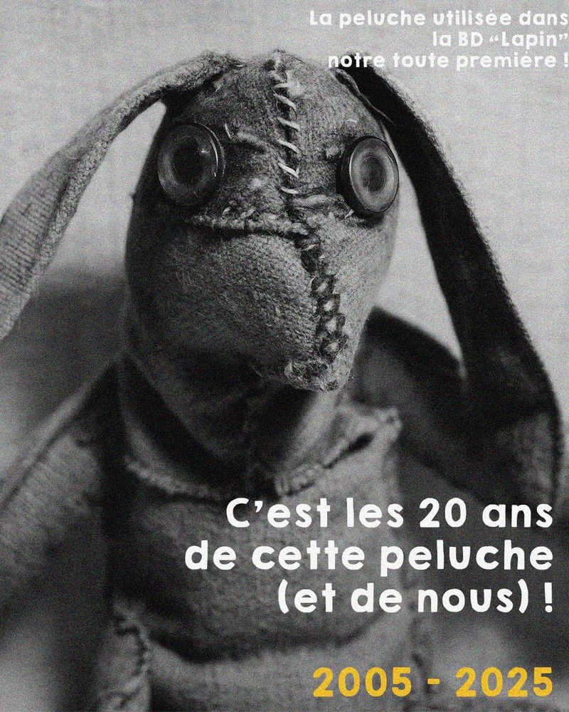 Un lapin mal cousu regarde la caméra avec dubitation. Texte "c'est les 20 ans de cette peluche et de nous" 2005-2025