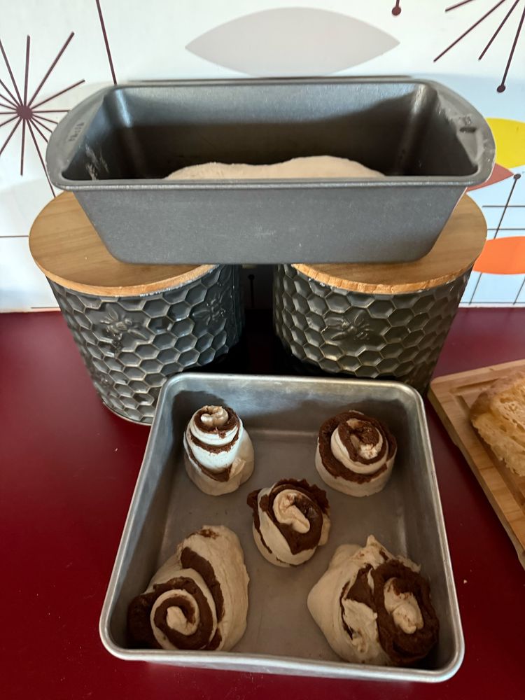 Bread loaf and cinnamon rolls at the ready-to-rise stage