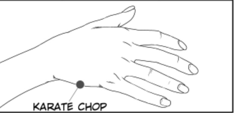 Picture of a hand, with an arrow indicating the part you'd use when doing a karate chop