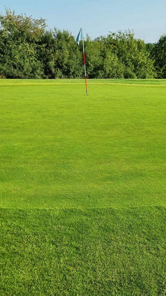A golf green is ahead, with the hole around 24 - 30ft away. The picture is taken about 6ft from the edge of the green.