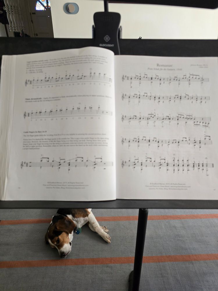 Closup on a black music stand, with classical guitar sheet music. Under the stand is a blue rug with a partial view of a beagle's Head and shoulders. 