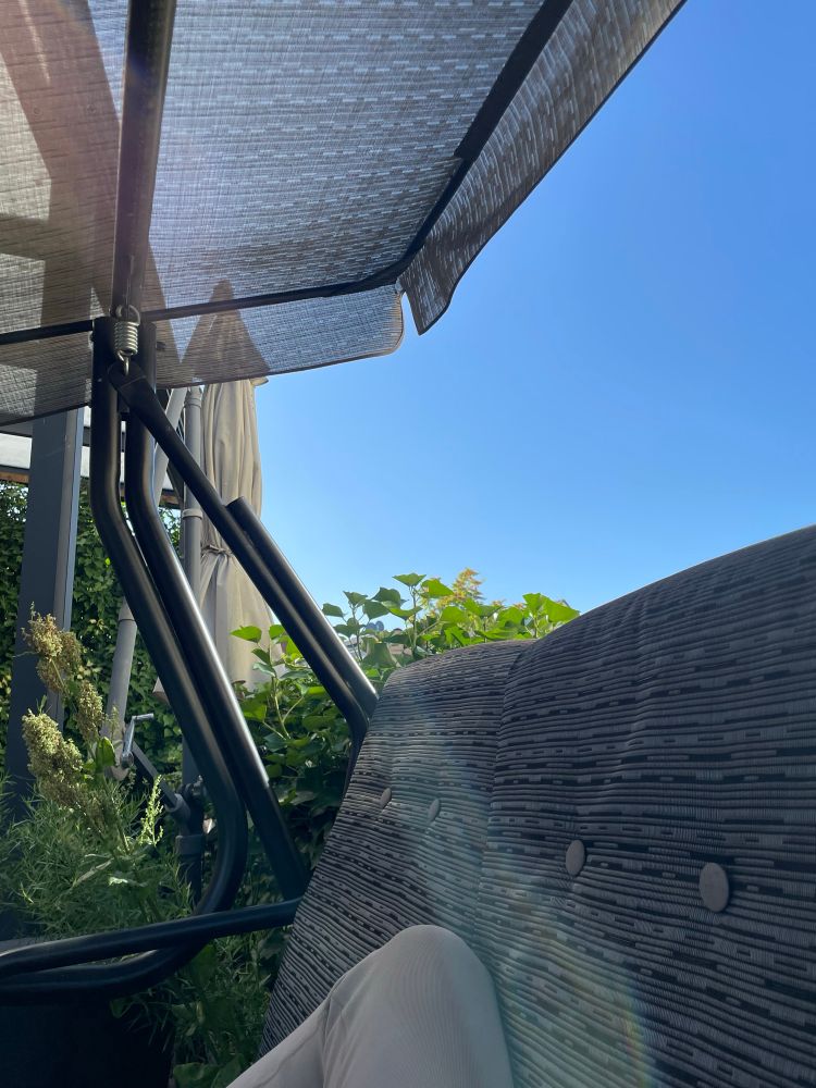 view of the blue sky from a garden swing with some vegetation in the background