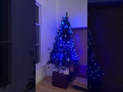 The tree is up! And it's got something to say... 🎄 #shorts