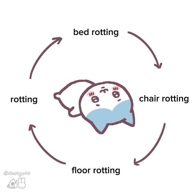 A cat (white and blue) laying on the ground with the words “bed rotting, chair rotting, floor rotting, rotting” surrounding it by @choogoos on Instagram 
