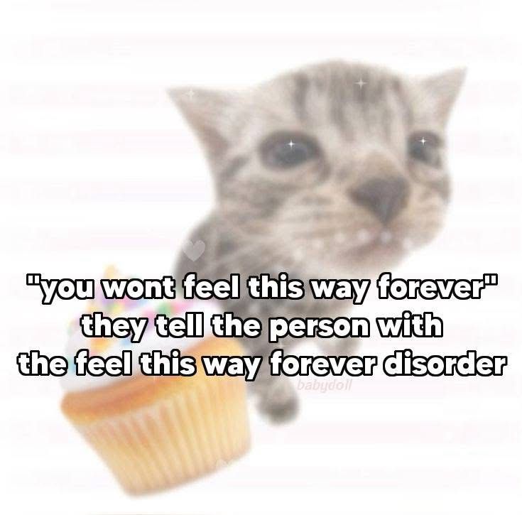 A cat with a cupcake and the words “you won’t feel this way forever” they tell the person with the feel this way forever disorder