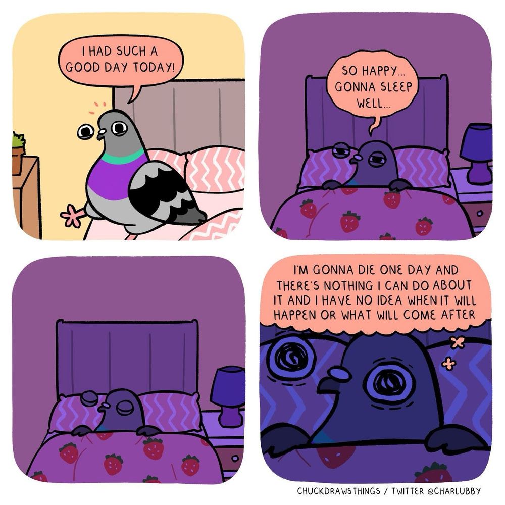 A pigeon getting into bed saying “I had such a good day today!” They Pull their strawberry covers up and say “so happy gonna sleep well” and they close their eyes and then they open their eyes wide and think “I’m gonna die one day and there’s nothing I can do about it and I have so idea when it will happen or what will come after” 