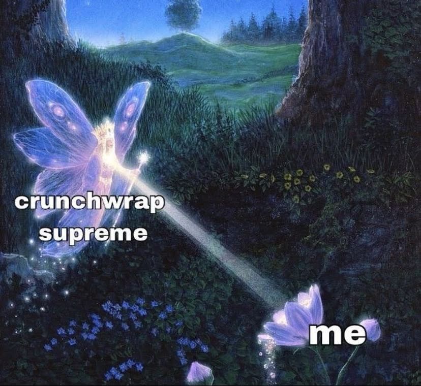 A fairy shining her light on a flower. The fairy is a Crunchwrap supreme and the flower is me