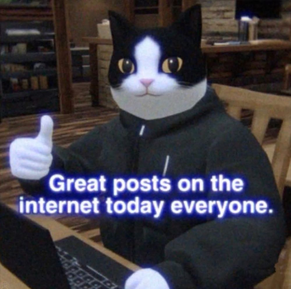Cat giving a thumbs up with the text “great posts on the internet today everyone” 