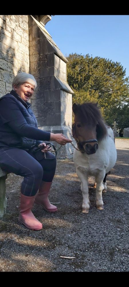Lady in blue sat on stone bench outside church holding a Shetland pony with a brown face and white body 