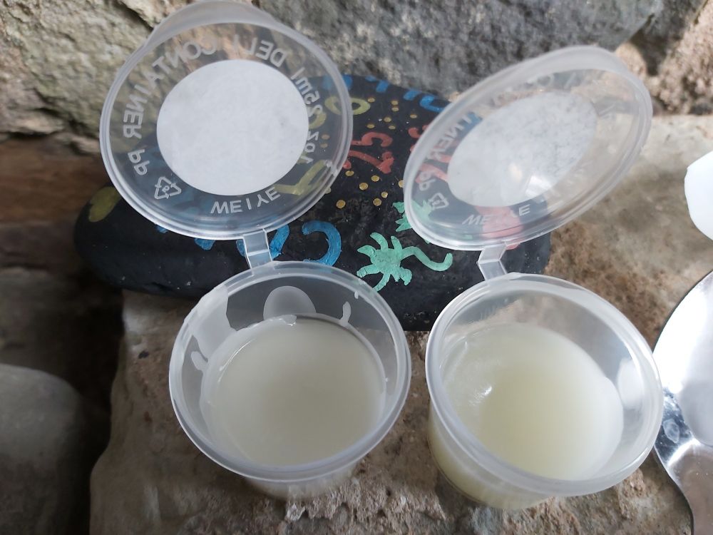 Lip balm setting in little pots