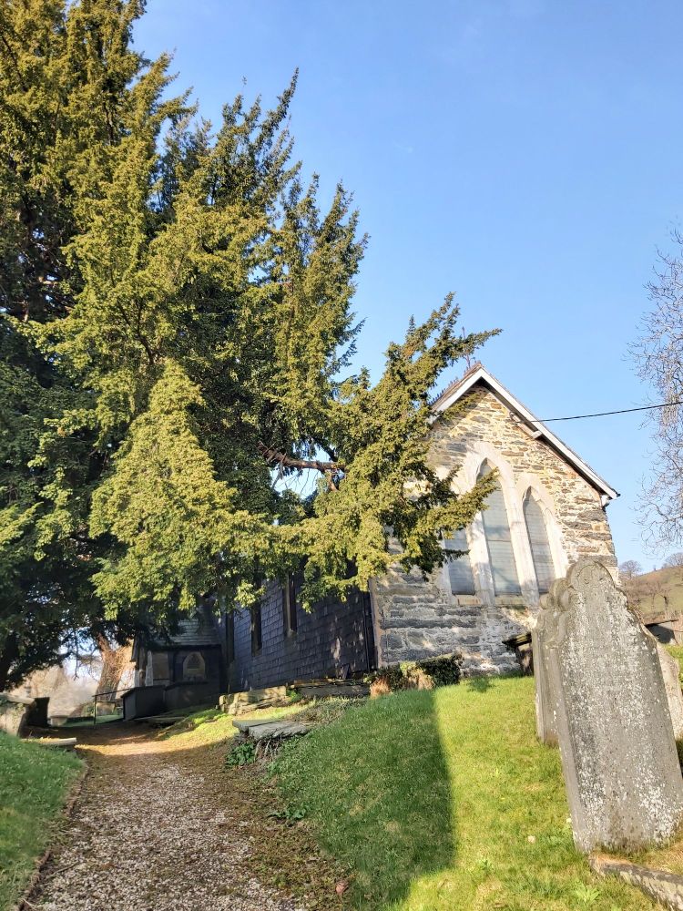 Path up to St James nantglyn
Preaching yew on the left church on the right
