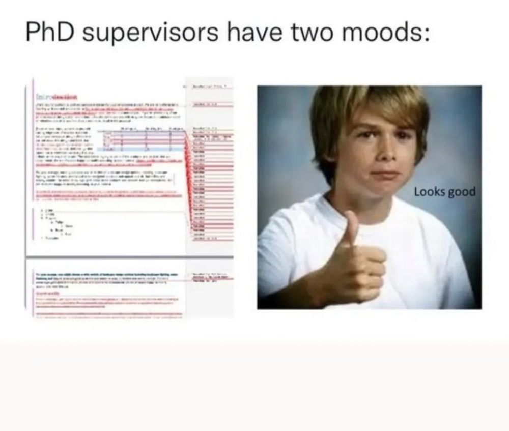 "PhD supervisors have two moods:  [picture of heavily altered essay with red lines everywhere] [picture of guy with thumb up]