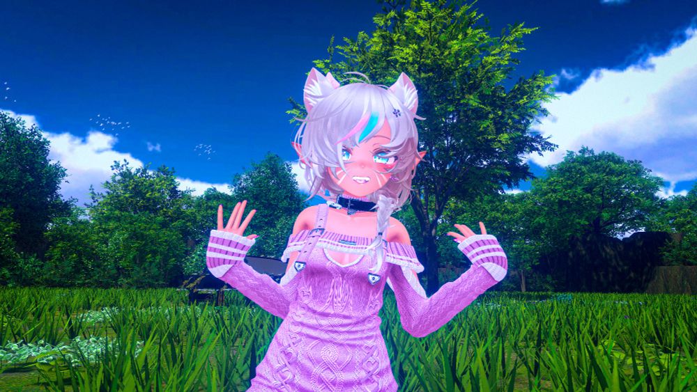 Miso in a grass field