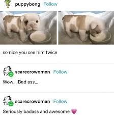 Comment image