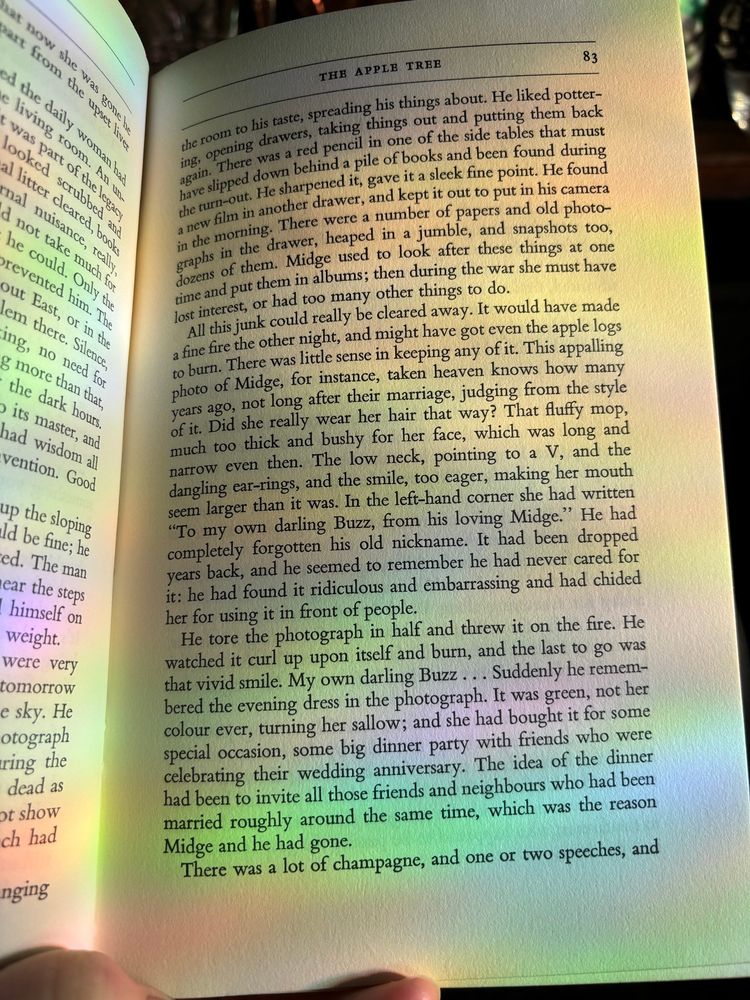 Book page with rainbow lights shining in it