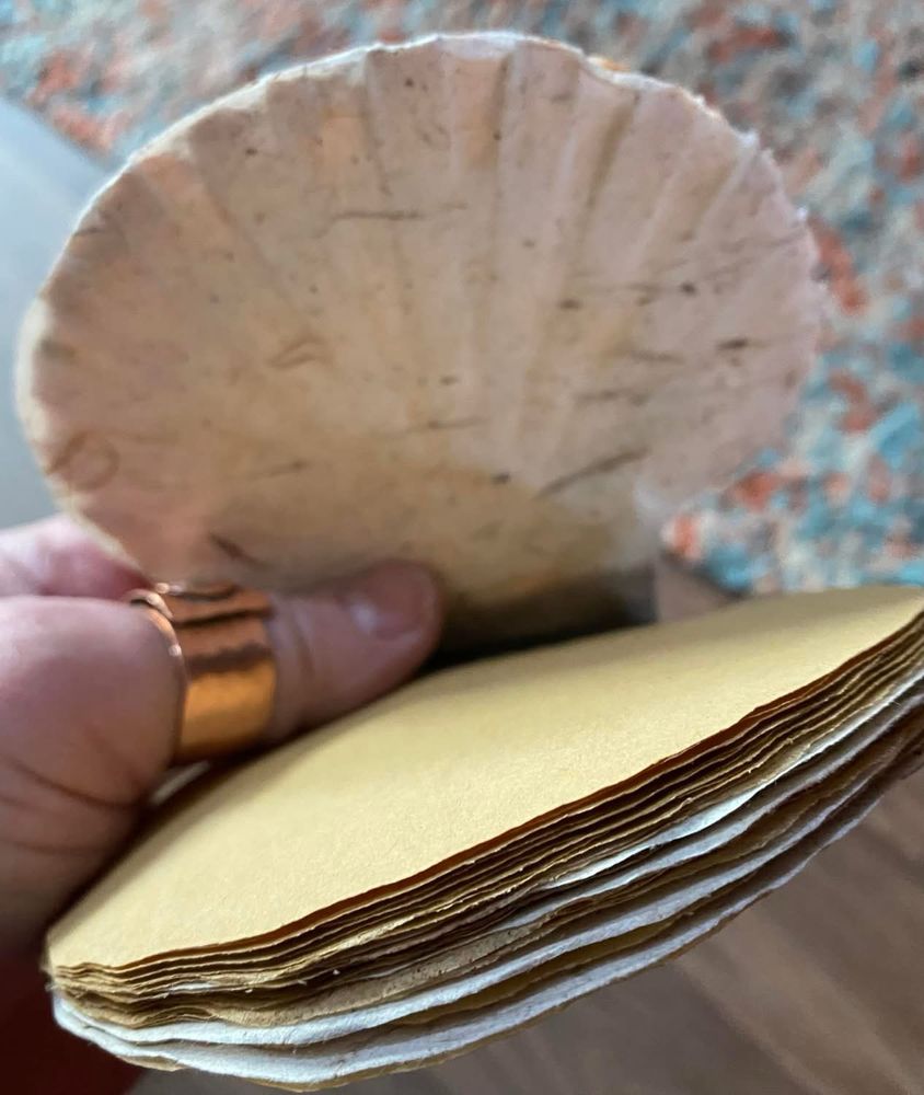 Scallop shell made into book - open to show pages