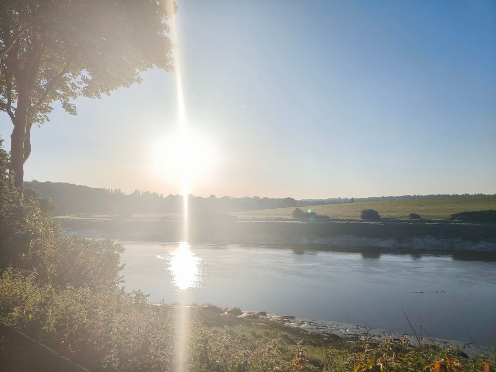 Photo of River Avon with morning sun reflecting on the river. The sun is a bright white ball and water is quite still. On left you can see a large tree with green leaves and river bank has foliage and nettles.