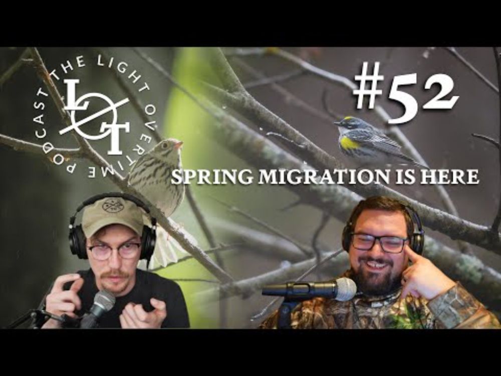 LOT PODCAST #52 | Spring migration is upon us! Birding talk and getting Sony Autofocus to work!