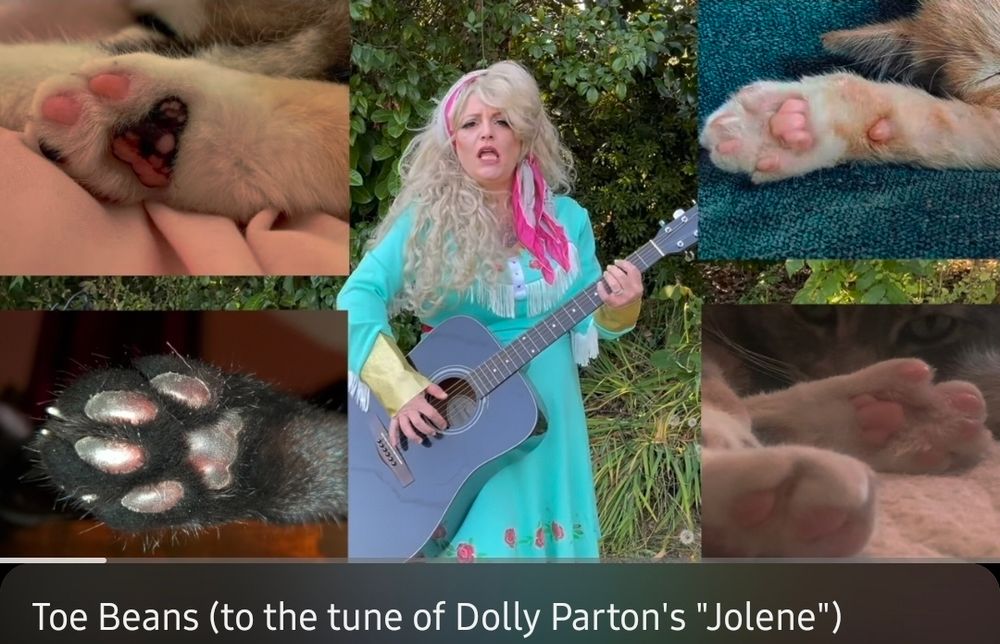 A screenshot of a YouTube video, where a self proclaimed "crazy cat lady" is holding a guitar and singing "Toe Beans" to the tune of Jolene by Dolly Parton 