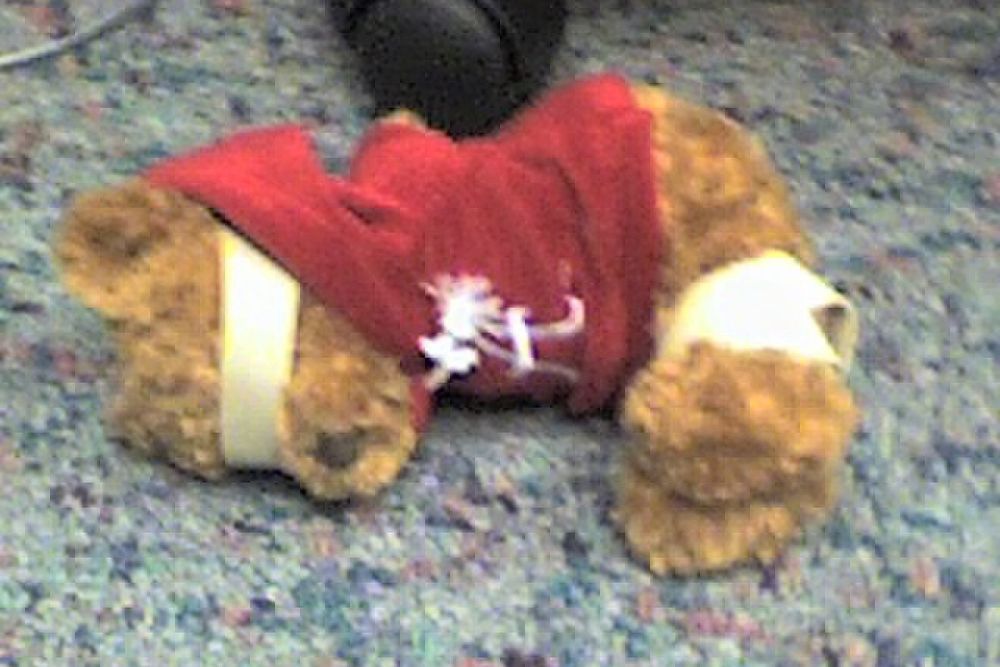 A mini stuffed bear wearing a crimson hoodie with an embroidered A with a mullet. Its arms are bound behind its back and legs are bound in front. It is blindfolded lying on the floor.

War Eagle