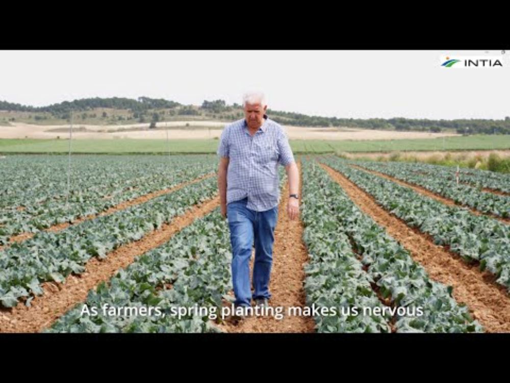Co-Innovation Case Study 8. Vetch and broccoli. INTIA, Spain.