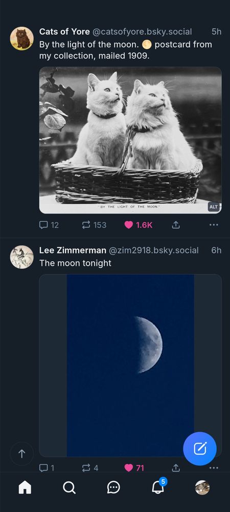 A screenshot of two posts on Bluesky. The earlier one, from @zim2918.bsky.social, is on the bottom. It shows a half moon against a black sky. The newer one, on the top, is from @catsofyore.bdky.social and is the post of two beautifully photographed white cats. It is captioned, "by the light of the moon." The "like" icon in both is lit, as I happened to like both.