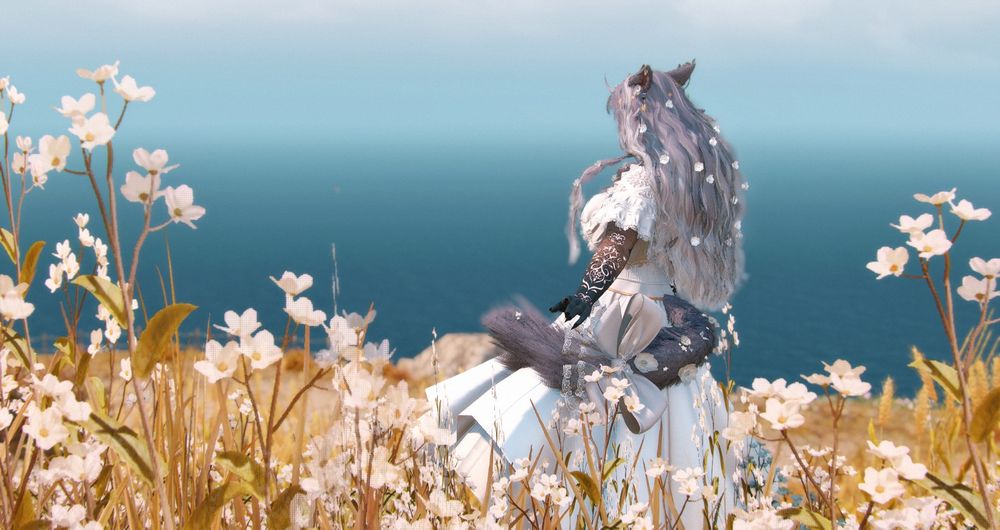 A miqote standing in a field of flowers over the horizon lays the sky and sea together as one. 