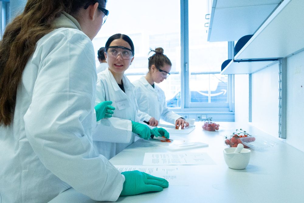 Three girls in lab coats and gloves work together on a DNA extraction experiment using tomatoes in a science lab. One girl is slicing a tomato while the others observe and discuss the process.