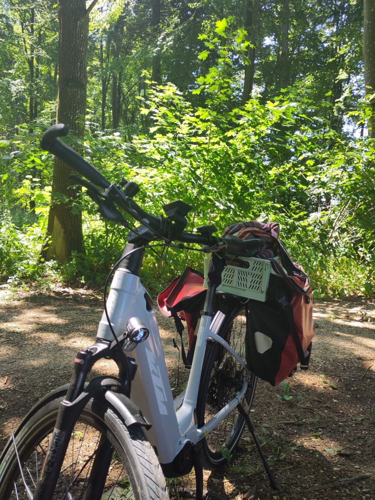 Foto meines neuen KTM EBike im Schatten eines Waldes.