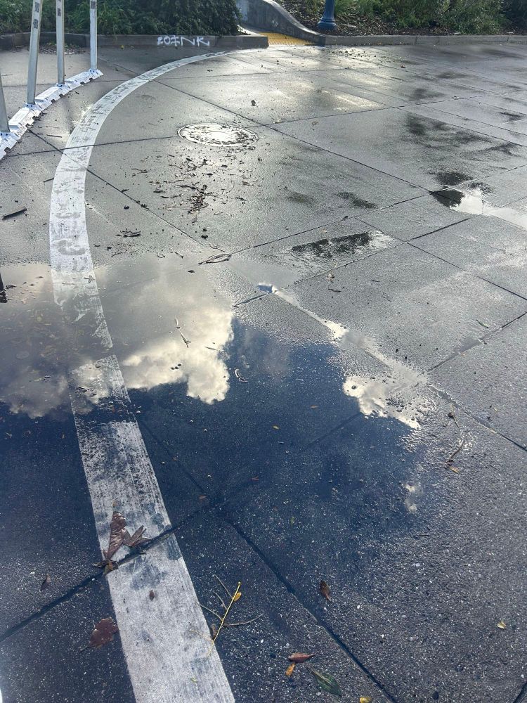 wet pavement after rain; the reflection of a cottony cloud in a puddle on the ground