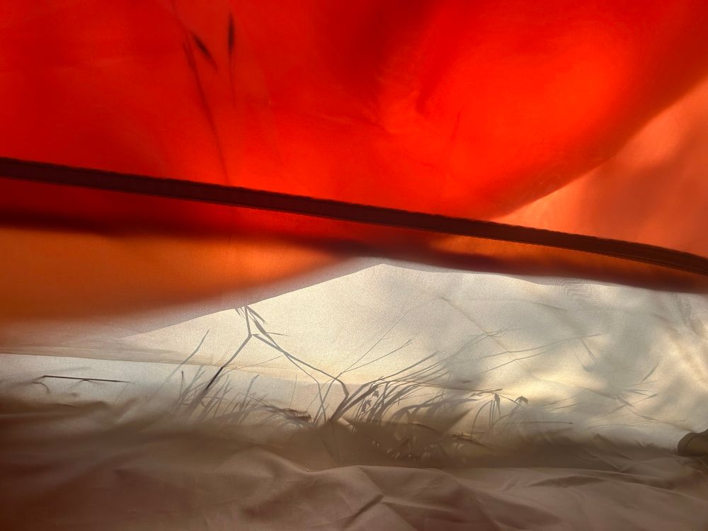 shadows of grass cast on the wall of a camping tent in morning light 
