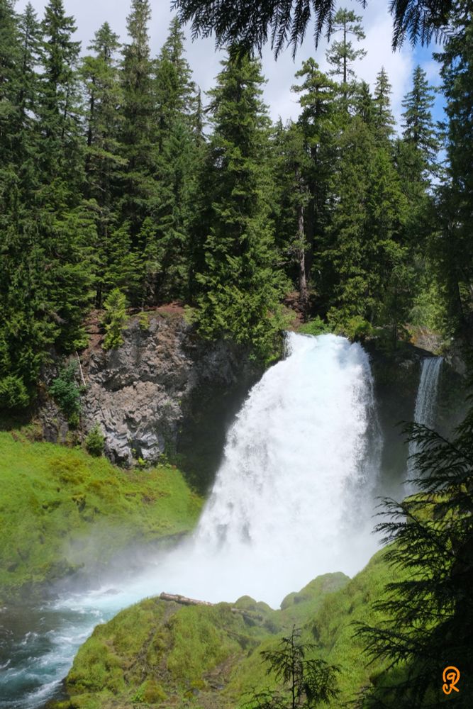 The Sahalie Falls in Oregon. This river creates a turbulent water cascade with two split falls, one large one small. There are many proudly tall conifers surrounding the water. But the rocks below are covered in moss, grass, and small plants. Seemingly to better feed on the mist from the falls.