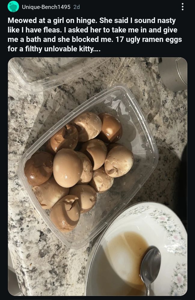 Reddit post by Unique-Bench1495: "Meowed at a girl on hinge. She said I sound nasty like I have fleas. I asked her to take me in and give me a bath and she blocked me. 17 ugly ramen eggs for a filthy unlovable kitty...."

The post includes a photo of the eggs in a plastic container next to a porcelain bowl with some brown liquid in a marble counter.