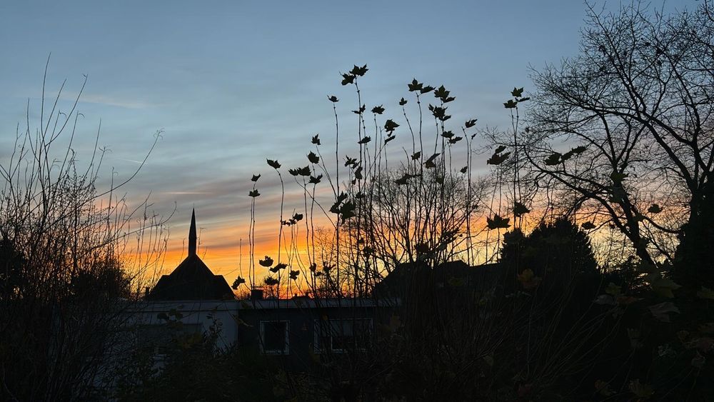 Sonnenuntergang. Die Umrisse von Häusern und Bäumen sind zu sehen 