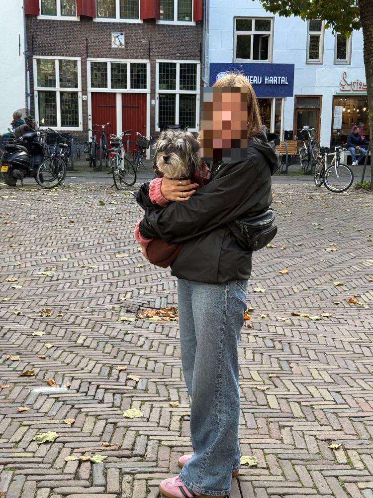 TildaHund wird von einer jungen Frau getragen 